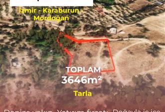 🌿 İzmir Karaburun Mordoğan’da Ana Yola Yakın, Tek Tapulu 3.646 m² Satılık Tarla