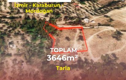 🌿 İzmir Karaburun Mordoğan’da Ana Yola Yakın, Tek Tapulu 3.646 m² Satılık Tarla