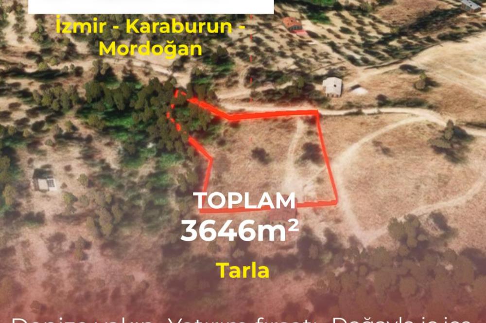 🌿 İzmir Karaburun Mordoğan’da Ana Yola Yakın, Tek Tapulu 3.646 m² Satılık Tarla
