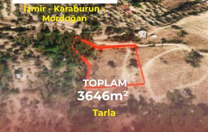 🌿 İzmir Karaburun Mordoğan’da Ana Yola Yakın, Tek Tapulu 3.646 m² Satılık Tarla