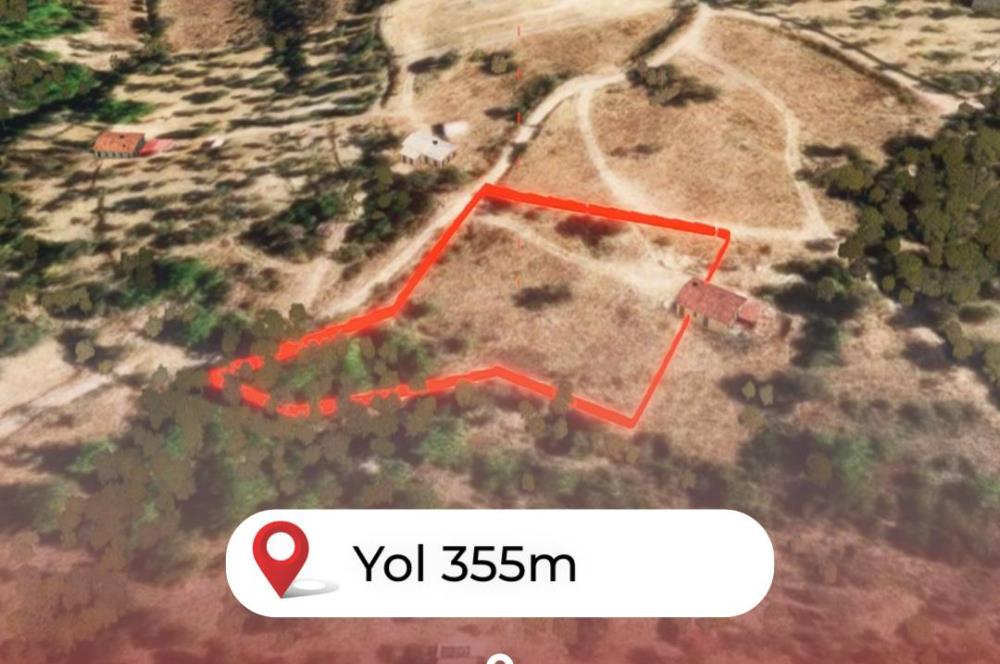🌿 İzmir Karaburun Mordoğan’da Ana Yola Yakın, Tek Tapulu 3.646 m² Satılık Tarla