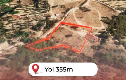 🌿 İzmir Karaburun Mordoğan’da Ana Yola Yakın, Tek Tapulu 3.646 m² Satılık Tarla