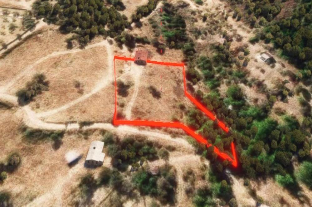 🌿 İzmir Karaburun Mordoğan’da Ana Yola Yakın, Tek Tapulu 3.646 m² Satılık Tarla