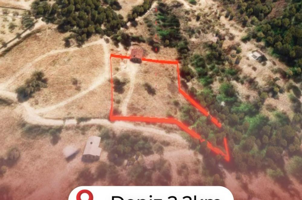 🌿 İzmir Karaburun Mordoğan’da Ana Yola Yakın, Tek Tapulu 3.646 m² Satılık Tarla