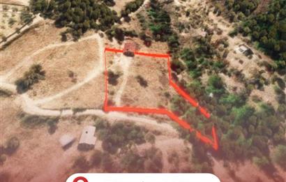 🌿 İzmir Karaburun Mordoğan’da Ana Yola Yakın, Tek Tapulu 3.646 m² Satılık Tarla