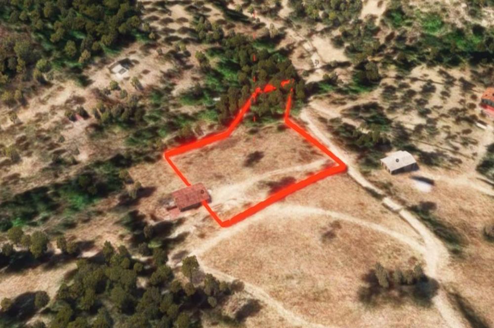 🌿 İzmir Karaburun Mordoğan’da Ana Yola Yakın, Tek Tapulu 3.646 m² Satılık Tarla