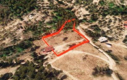 🌿 İzmir Karaburun Mordoğan’da Ana Yola Yakın, Tek Tapulu 3.646 m² Satılık Tarla