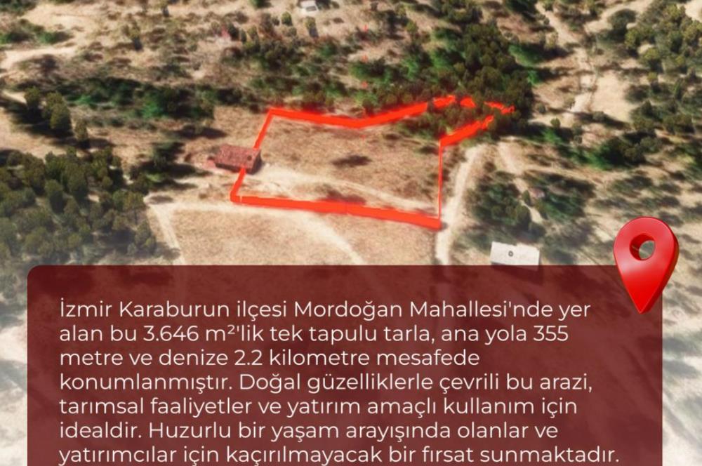 🌿 İzmir Karaburun Mordoğan’da Ana Yola Yakın, Tek Tapulu 3.646 m² Satılık Tarla