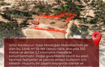 🌿 İzmir Karaburun Mordoğan’da Ana Yola Yakın, Tek Tapulu 3.646 m² Satılık Tarla