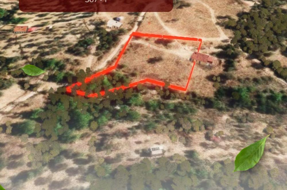 🌿 İzmir Karaburun Mordoğan’da Ana Yola Yakın, Tek Tapulu 3.646 m² Satılık Tarla