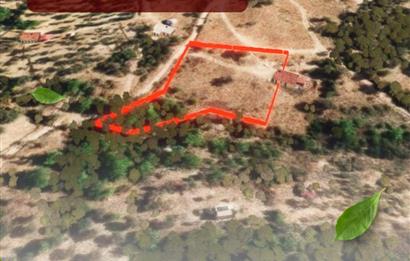 🌿 İzmir Karaburun Mordoğan’da Ana Yola Yakın, Tek Tapulu 3.646 m² Satılık Tarla
