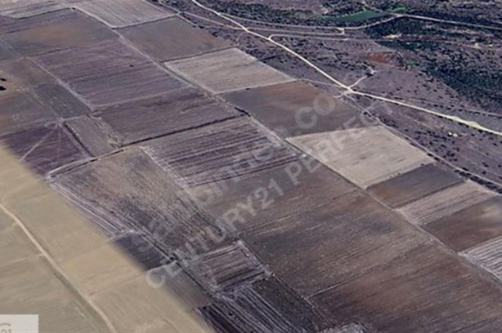 C21PERFECTTEN K.MESUTLU KÖY MERKEZİNE YAKIN TEK TAPU FİYAT DÜŞTÜ