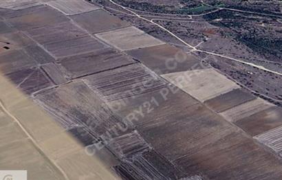 C21PERFECTTEN K.MESUTLU KÖY MERKEZİNE YAKIN TEK TAPU FİYAT DÜŞTÜ