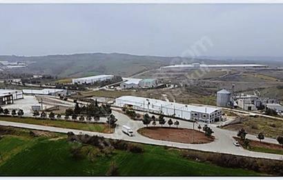 Bursa Mustafakemalpaşa/Boğazköy’de Yatırımlık & Hobi Amaçlı 5 Parsel Arsa 