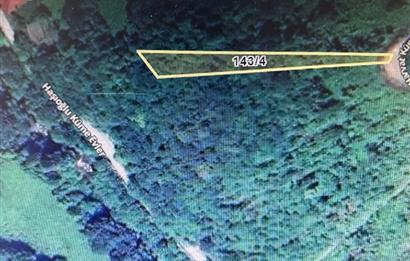 RİZE PAZAR ORTAYOL (MELESKUR) KÖYÜ YOLA CEPHELİ FINDIK BAHÇESİ