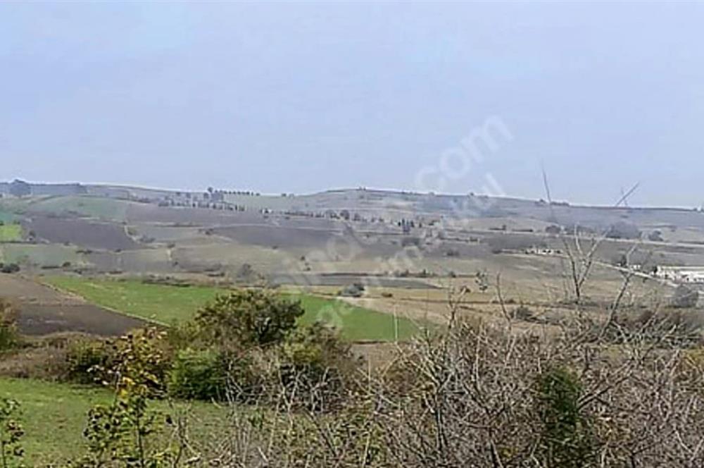 Bursa Mustafakemalpaşa/Boğazköy’de Yatırımlık & Hobi Amaçlı 5 Parsel Arsa 
