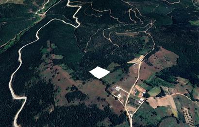C21 NOVO'DAN NİLÜFER ÜÇPINAR MEVKİİNDE 7.066 M2 SATILIK TARLA