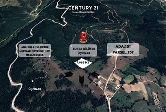 C21 NOVO'DAN NİLÜFER ÜÇPINAR MEVKİİNDE 7.066 M2 SATILIK TARLA