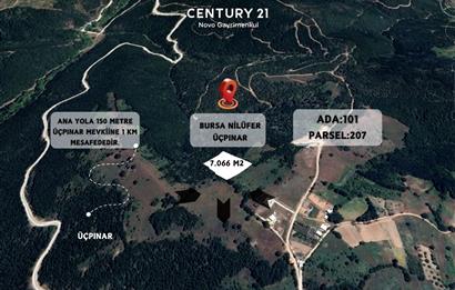 C21 NOVO'DAN NİLÜFER ÜÇPINAR MEVKİİNDE 7.066 M2 SATILIK TARLA