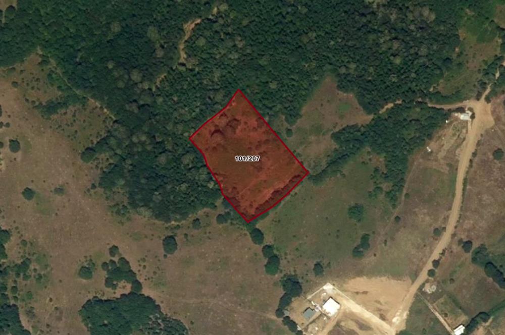 C21 NOVO'DAN NİLÜFER ÜÇPINAR MEVKİİNDE 7.066 M2 SATILIK TARLA