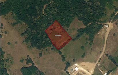 C21 NOVO'DAN NİLÜFER ÜÇPINAR MEVKİİNDE 7.066 M2 SATILIK TARLA