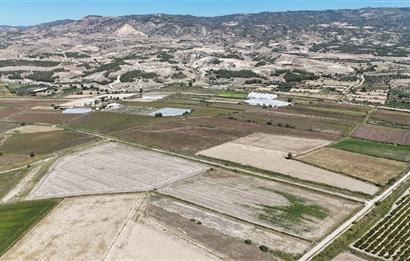 GÖLEMEZLİ MAHALLESİNDE SATILIK 60.000 M2 SERA ARAZİSİ.