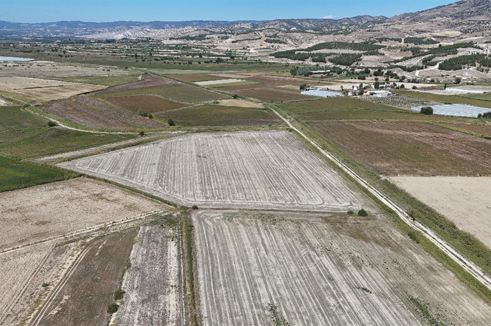 GÖLEMEZLİ MAHALLESİNDE SATILIK 60.000 M2 SERA ARAZİSİ.