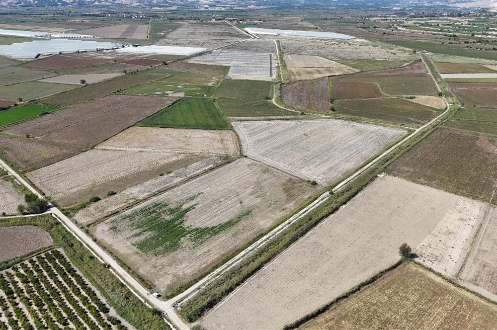 GÖLEMEZLİ MAHALLESİNDE SATILIK 60.000 M2 SERA ARAZİSİ.