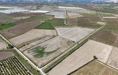 GÖLEMEZLİ MAHALLESİNDE SATILIK 60.000 M2 SERA ARAZİSİ.