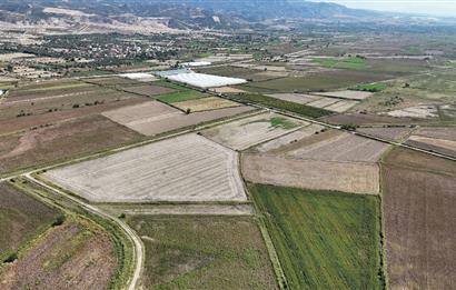 GÖLEMEZLİ MAHALLESİNDE SATILIK 60.000 M2 SERA ARAZİSİ.