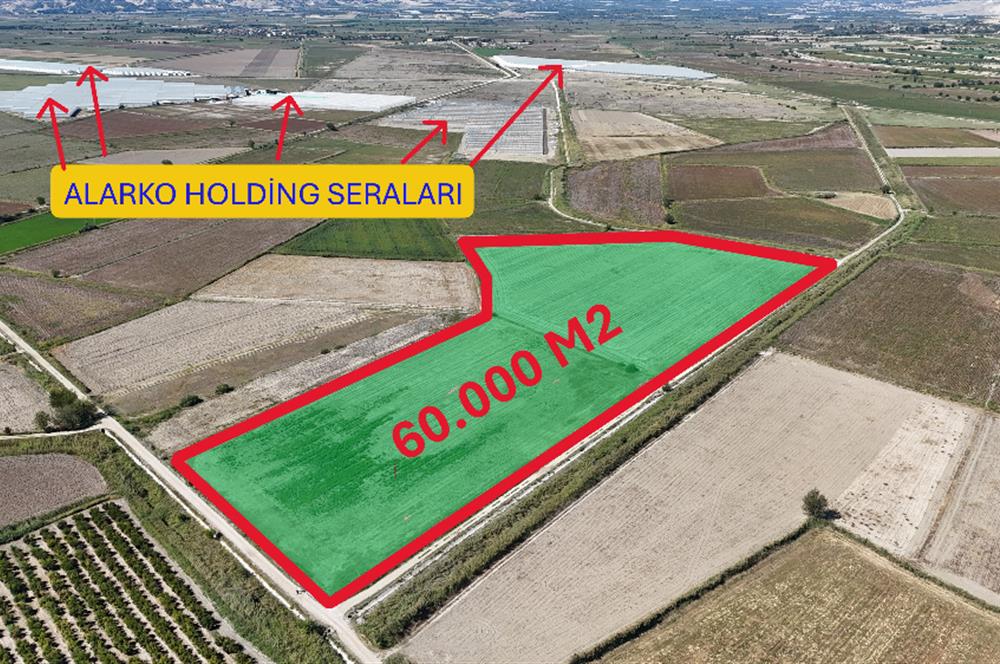 GÖLEMEZLİ MAHALLESİNDE SATILIK 60.000 M2 SERA ARAZİSİ.