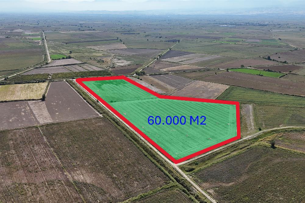 GÖLEMEZLİ MAHALLESİNDE SATILIK 60.000 M2 SERA ARAZİSİ.