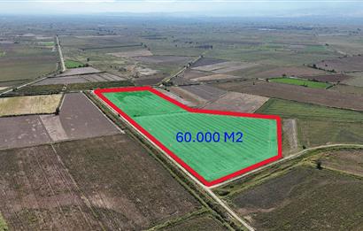 GÖLEMEZLİ MAHALLESİNDE SATILIK 60.000 M2 SERA ARAZİSİ.