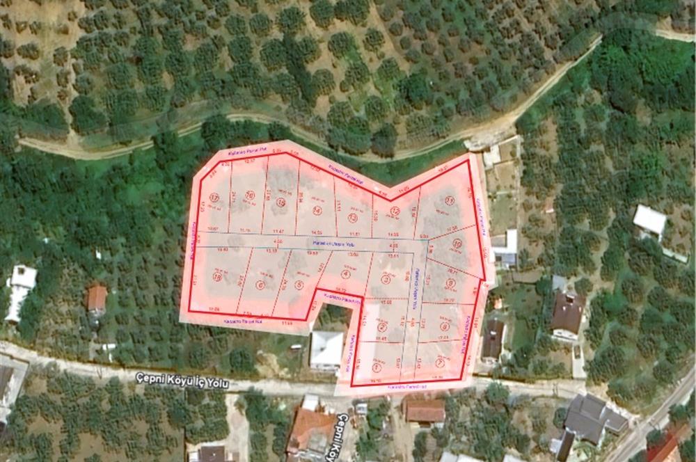 C21 LOCA'DAN MUDANYA ÇEPNİ'DE SATILIK KOOPERATİF HİSSESİ