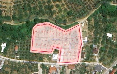 C21 LOCA'DAN MUDANYA ÇEPNİ'DE SATILIK KOOPERATİF HİSSESİ