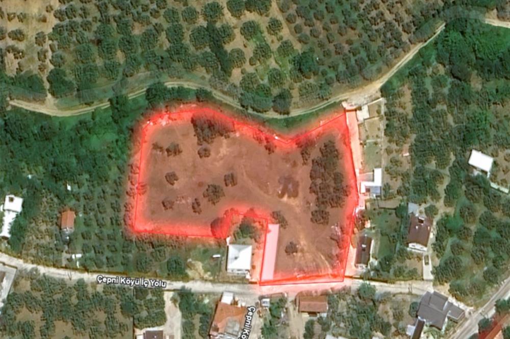 C21 LOCA'DAN MUDANYA ÇEPNİ'DE SATILIK KOOPERATİF HİSSESİ
