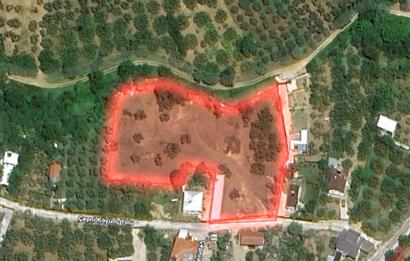 C21 LOCA'DAN MUDANYA ÇEPNİ'DE SATILIK KOOPERATİF HİSSESİ