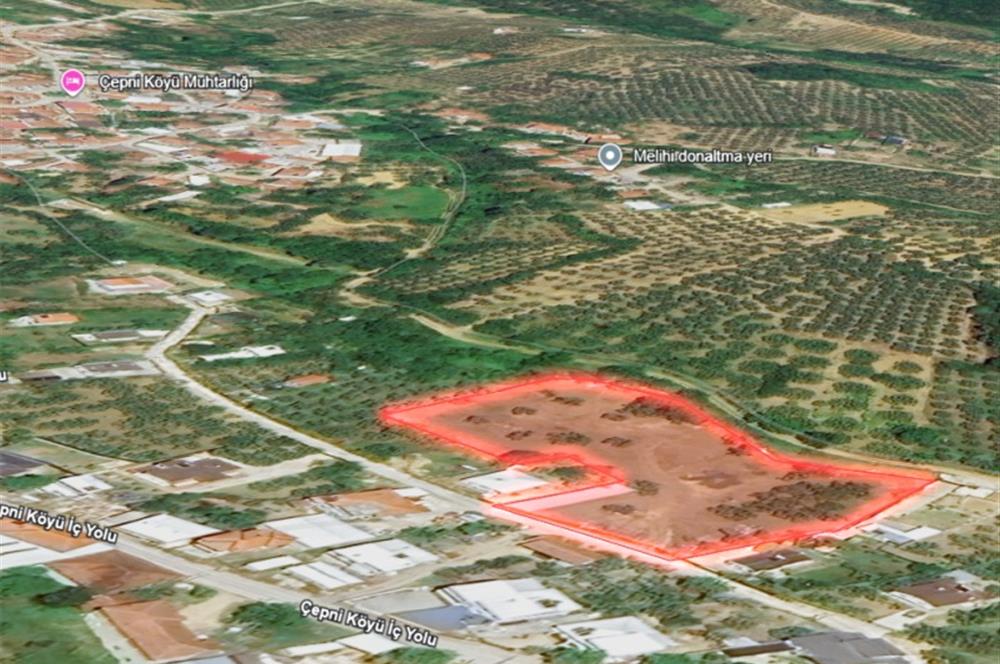 C21 LOCA'DAN MUDANYA ÇEPNİ'DE SATILIK KOOPERATİF HİSSESİ