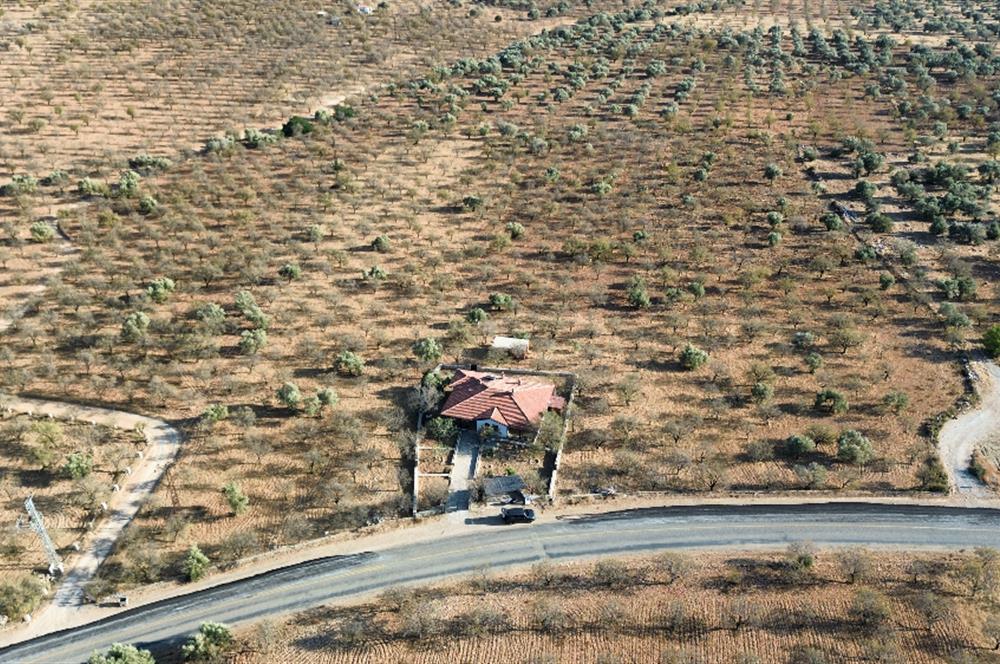 1274997359 Satılık Arsa Datça Yaka Mah. 32,8 Dönüm ve 3+1 Müstakil Konut