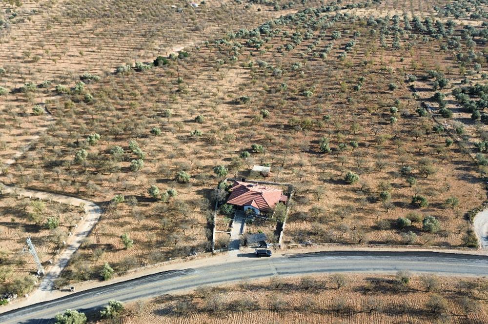 1274997359 Satılık Arsa Datça Yaka Mah. 32,8 Dönüm ve 3+1 Müstakil Konut