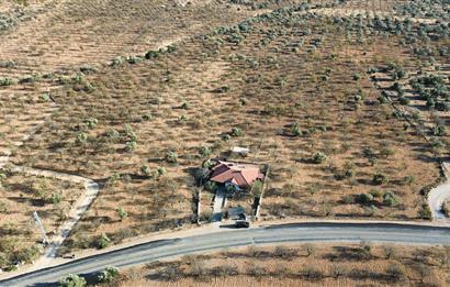 1274997359 Satılık Arsa Datça Yaka Mah. 32,8 Dönüm ve 3+1 Müstakil Konut