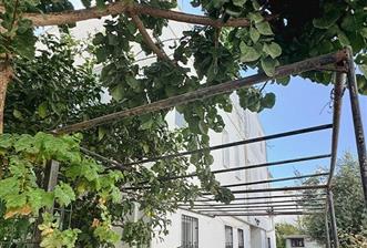 BODRUM TURGUTREİS AKÇAALANDA GENİŞ TERASLI FIRSAT DAİRE - 1 - 28508