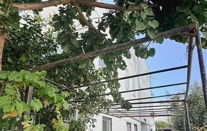 BODRUM TURGUTREİS AKÇAALANDA GENİŞ TERASLI FIRSAT DAİRE