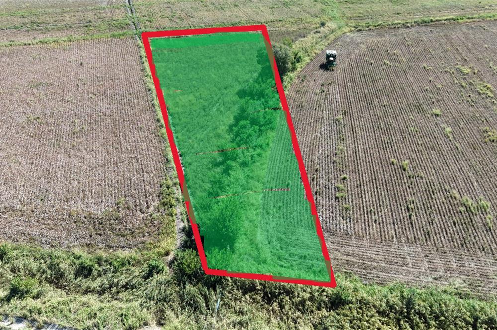 GÖLEMEZLİ MAHALLESİNDE SATILIK 4.303 M2 TARIM ARAZİSİ