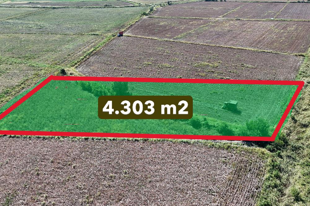 GÖLEMEZLİ MAHALLESİNDE SATILIK 4.303 M2 TARIM ARAZİSİ
