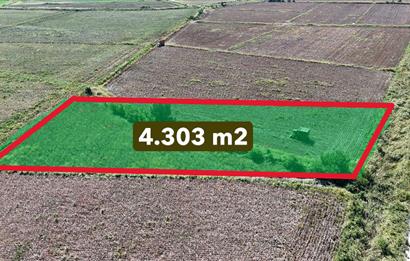 GÖLEMEZLİ MAHALLESİNDE SATILIK 4.303 M2 TARIM ARAZİSİ