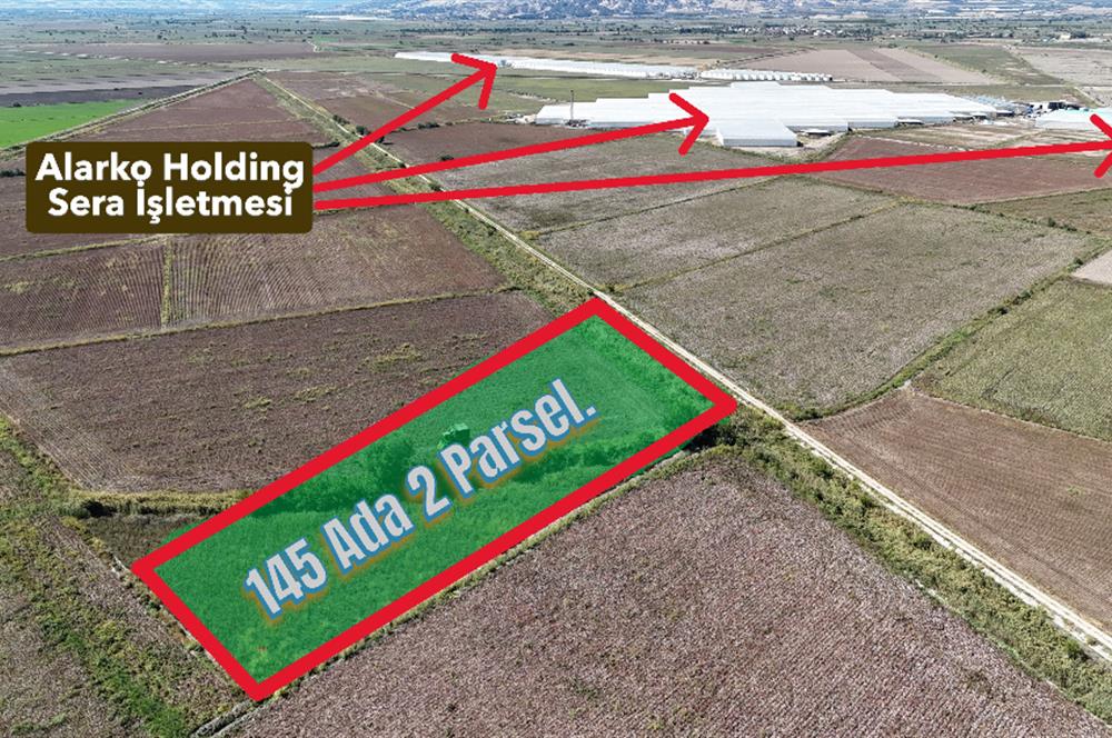 GÖLEMEZLİ MAHALLESİNDE SATILIK 4.303 M2 TARIM ARAZİSİ