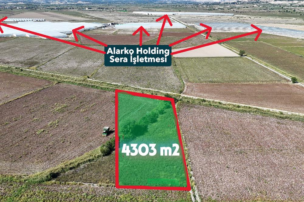 GÖLEMEZLİ MAHALLESİNDE SATILIK 4.303 M2 TARIM ARAZİSİ