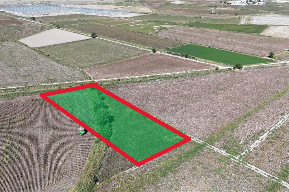 GÖLEMEZLİ MAHALLESİNDE SATILIK 4.303 M2 TARIM ARAZİSİ