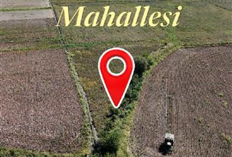 GÖLEMEZLİ MAHALLESİNDE SATILIK 4.303 M2 TARIM ARAZİSİ